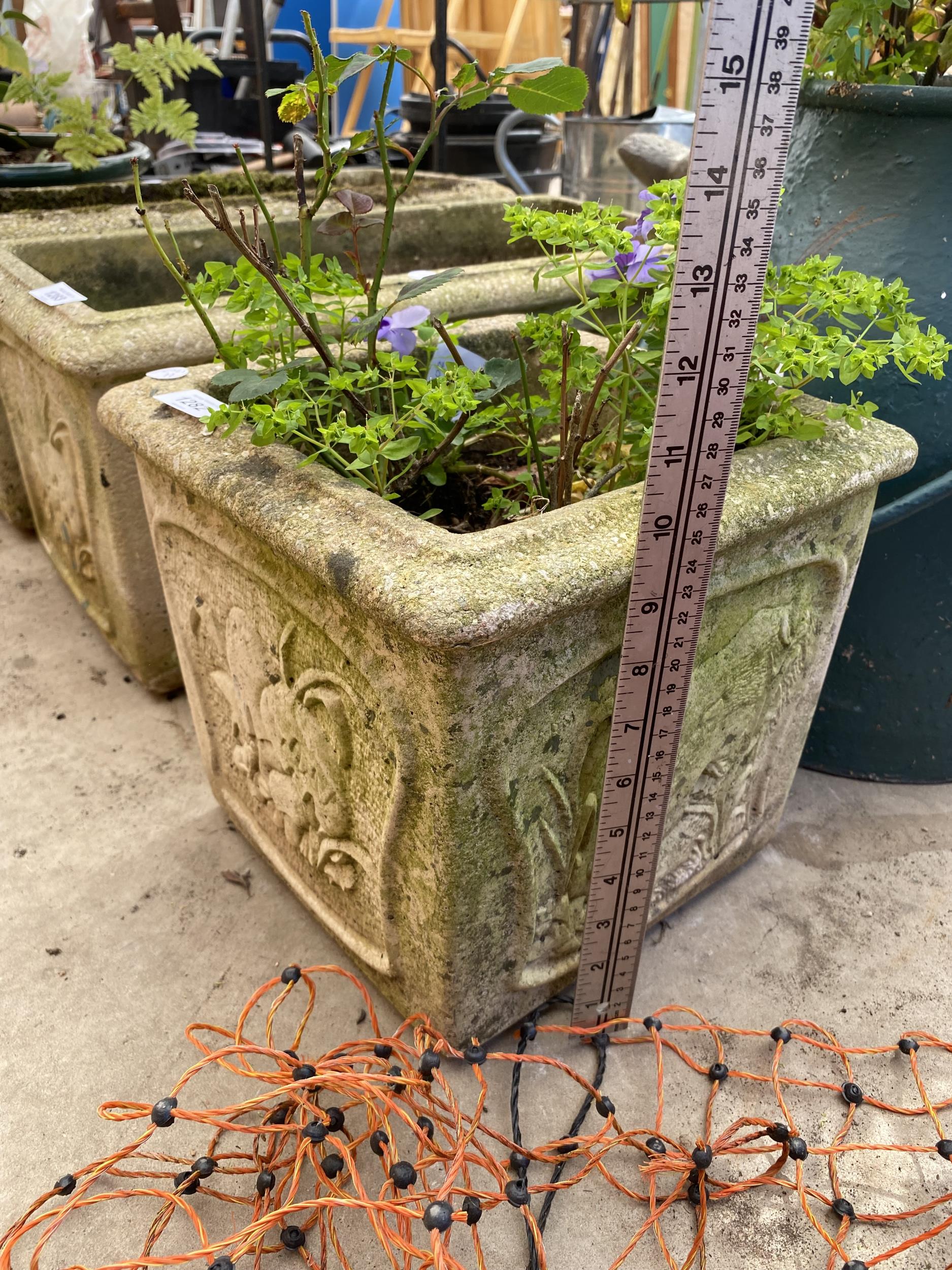 A RECONSTITUTED STONE PLANTER AND A MILKING BUCKET PLANTER - Image 5 of 5