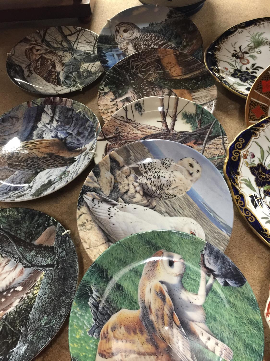 A COLLECTION OF OWL PLATES BY DANBURY MINT NAMED THE "THE MAJESTY OF OWLS" TO INCLUDE LITTLE OWL, - Image 2 of 4