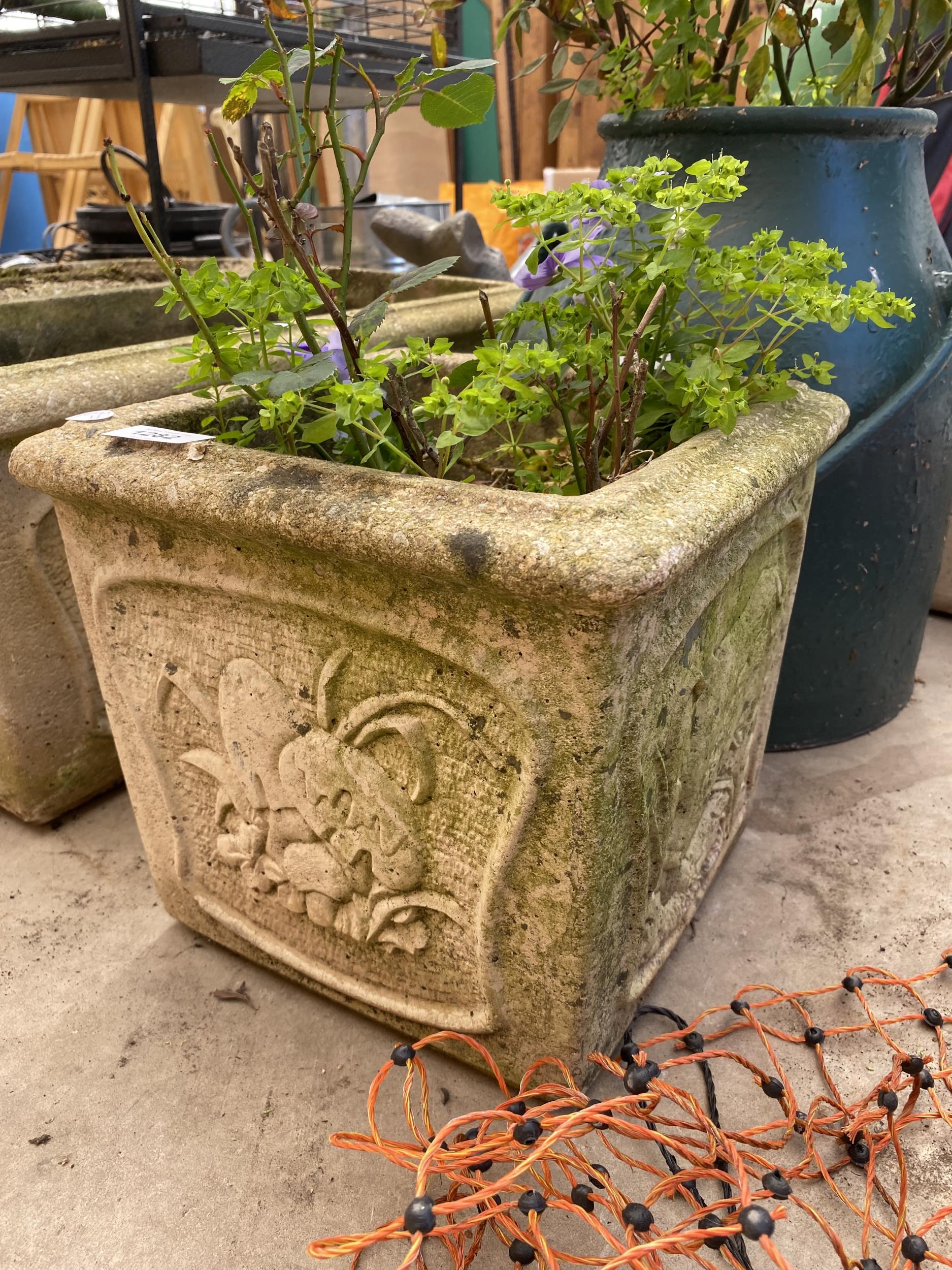 A RECONSTITUTED STONE PLANTER AND A MILKING BUCKET PLANTER - Image 2 of 5