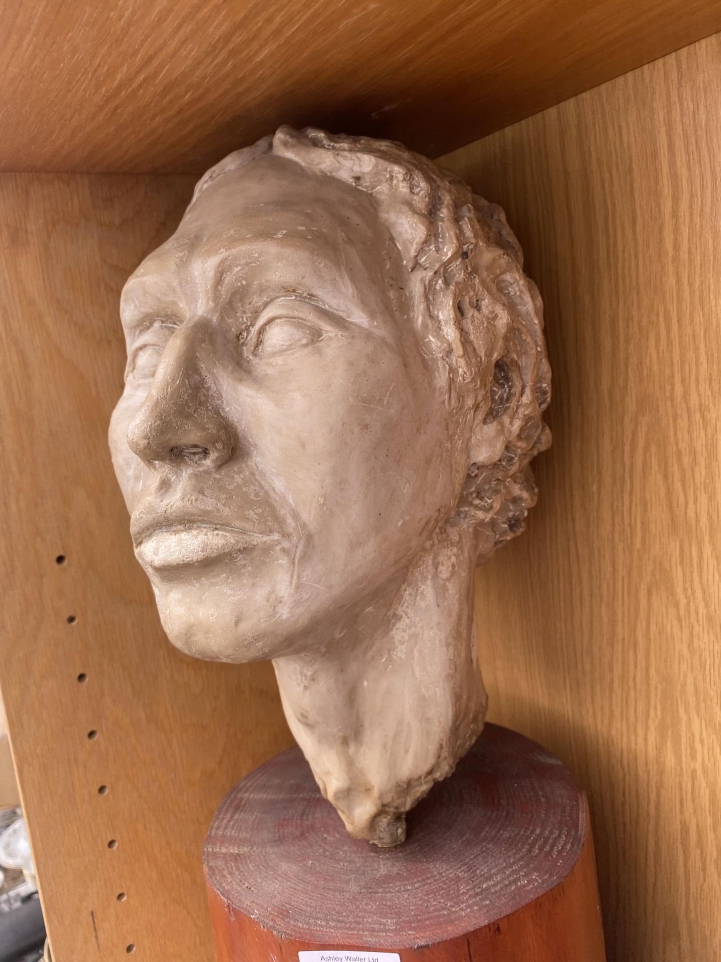 A RESIN MALE BUST ON A WOODEN PLINTH BASE - Image 2 of 2