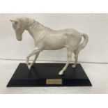 A BESWICK WHITE MATT HORSE ON WOODEN PLINTH "SPIRIT OF YOUTH" - FROM HOOF TO TOP OF MANE - 18 CM -