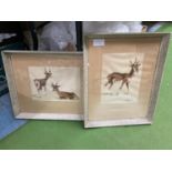 TWO FRAMED WATERCOLOURS OVER PRINTS OF SPANISH DEER BY FRESQUET