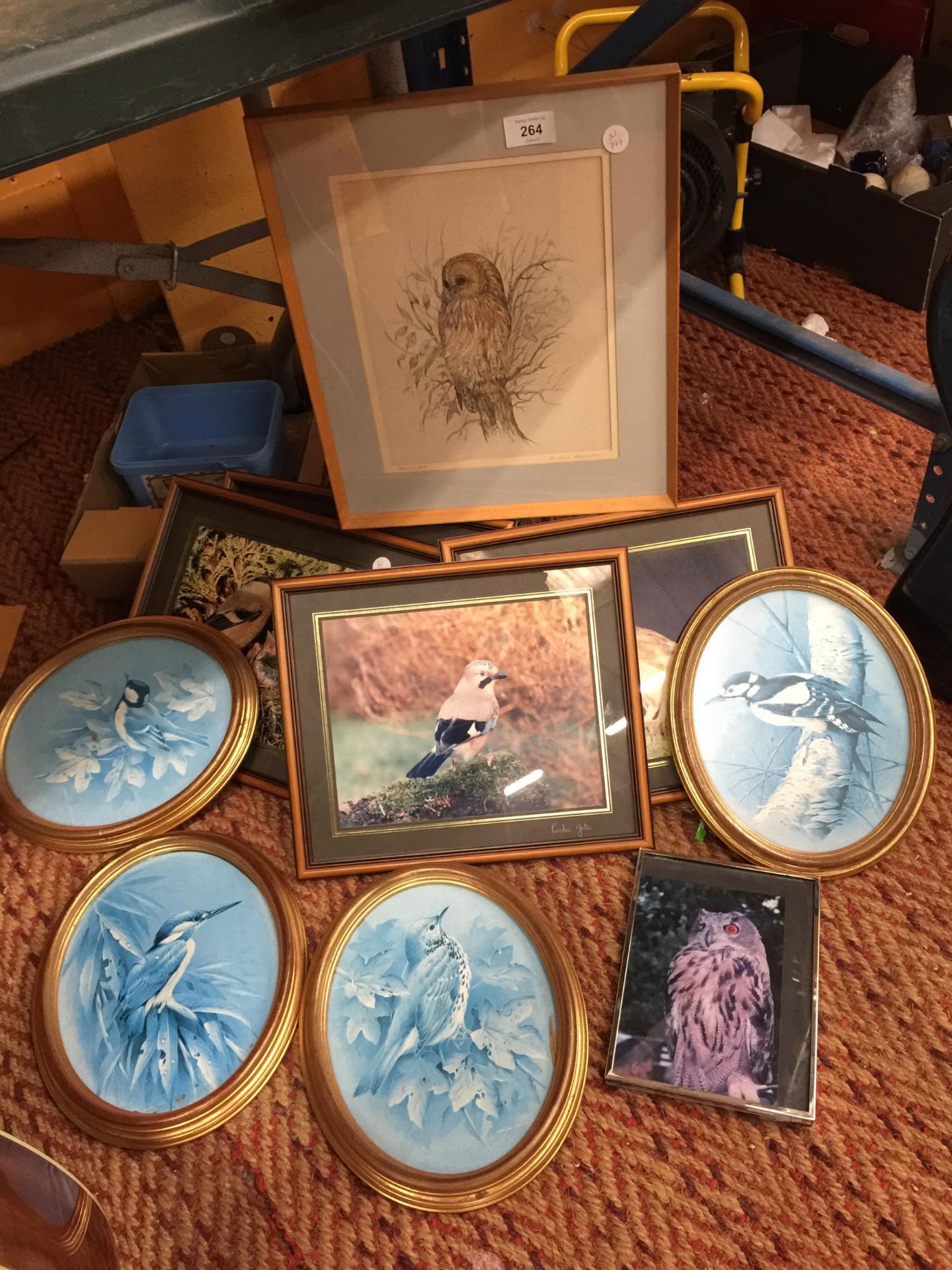 A QUANTITY OF FRAMED PRINTS OF BIRDS TO INCLUDE OWLS, KINGFISHER, TITS, ETC