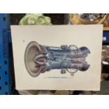 A PRINT OF A ROLLS-ROYCE INDUSTRIAL RB211 GAS GENERATOR 58CM X 44CM