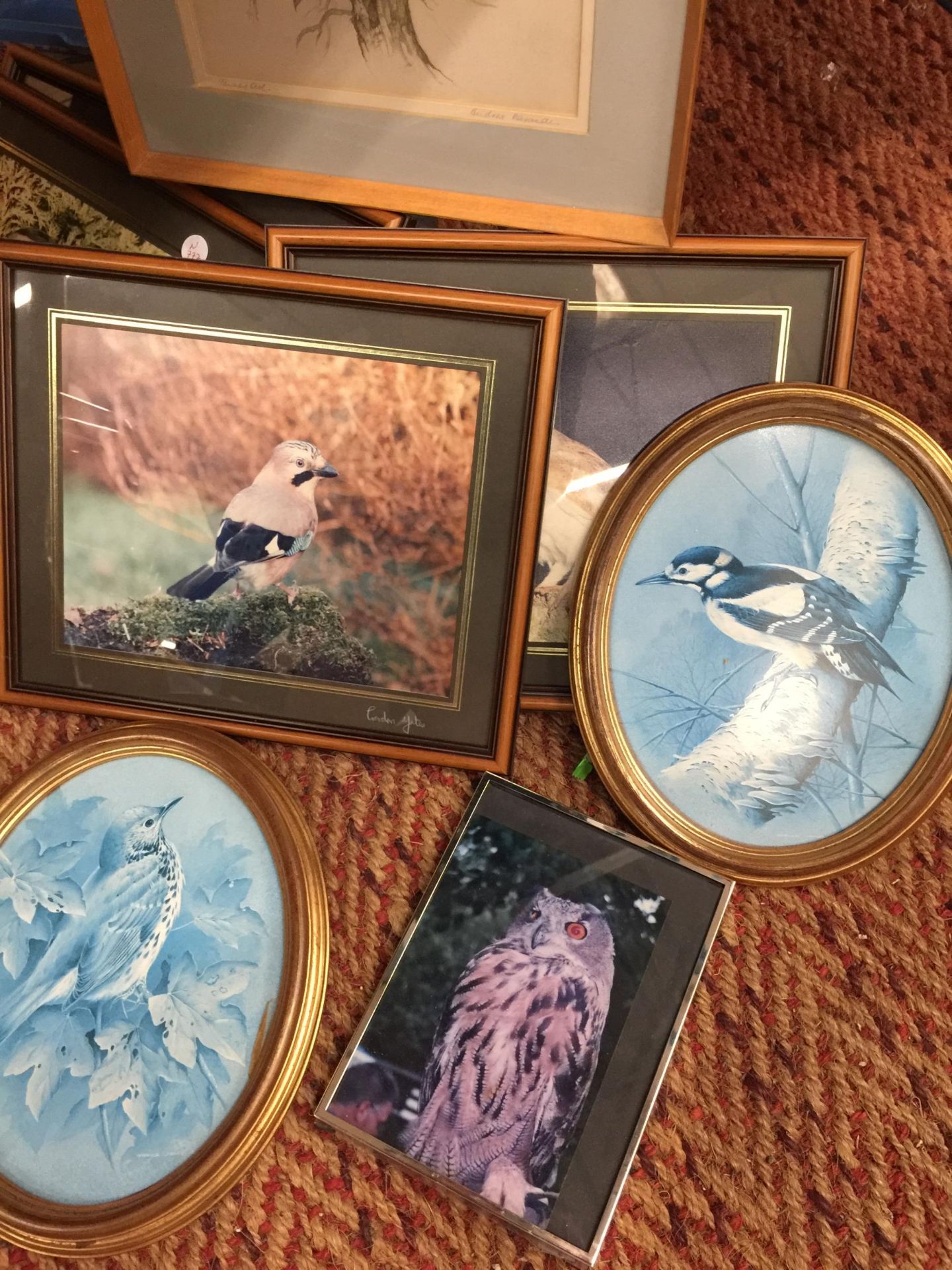 A QUANTITY OF FRAMED PRINTS OF BIRDS TO INCLUDE OWLS, KINGFISHER, TITS, ETC - Image 3 of 5