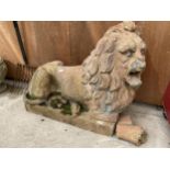 A LARGE TERRACOTTA LION (A/F) BEARING THE STAMP 'LADYSHORE TERRACOTTA WORKS MANCHESTER'