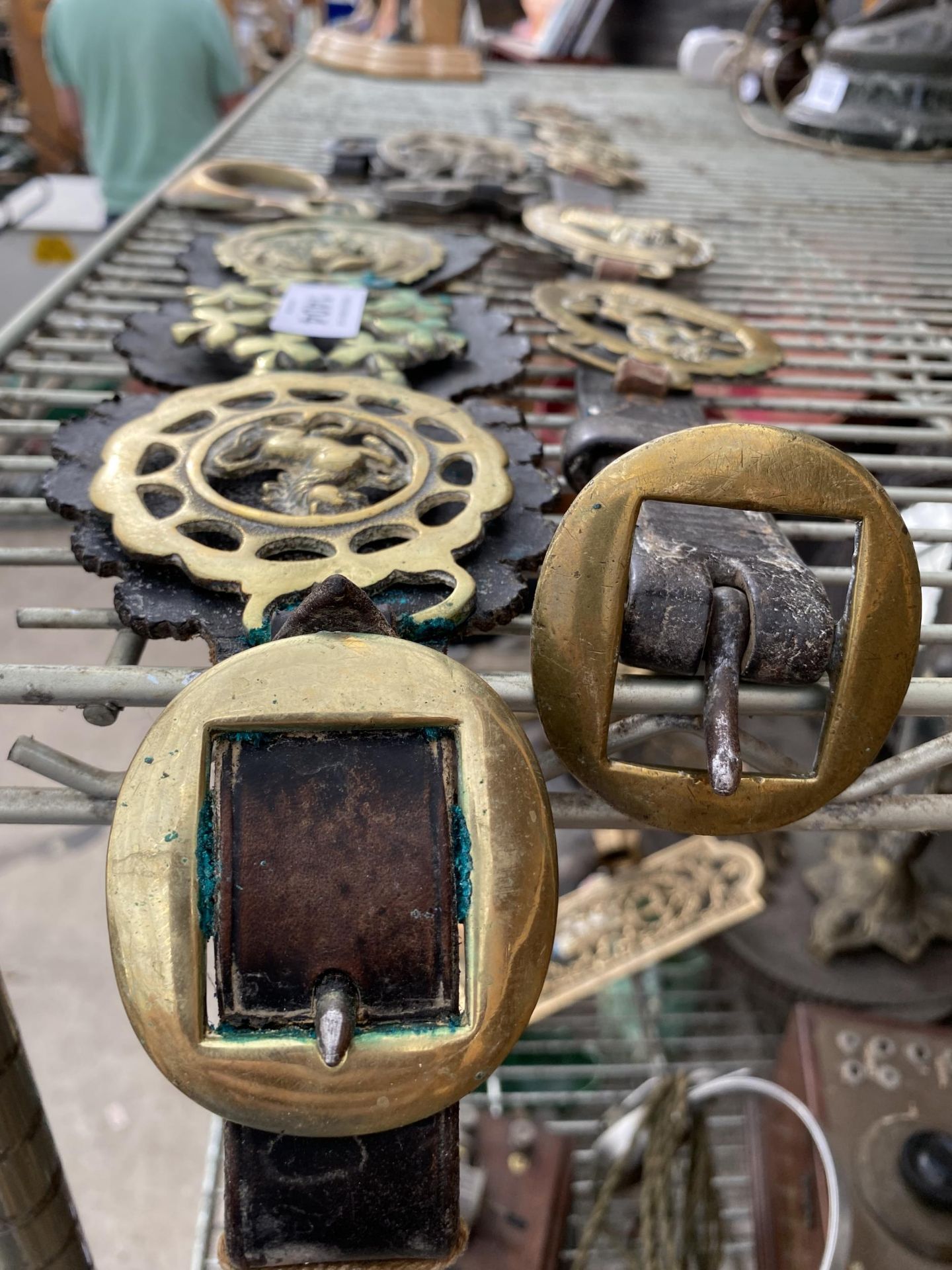 AN ASSORTMENT OF HORSE BRASSES ON MARTINGALES - Image 4 of 4