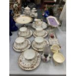 A SET OF FIVE SALISBURY BONE CHINA TRIOS WITH FLORAL PATTERN, CAKE PLATE, CREAM JUG, SUGAR BOWL,