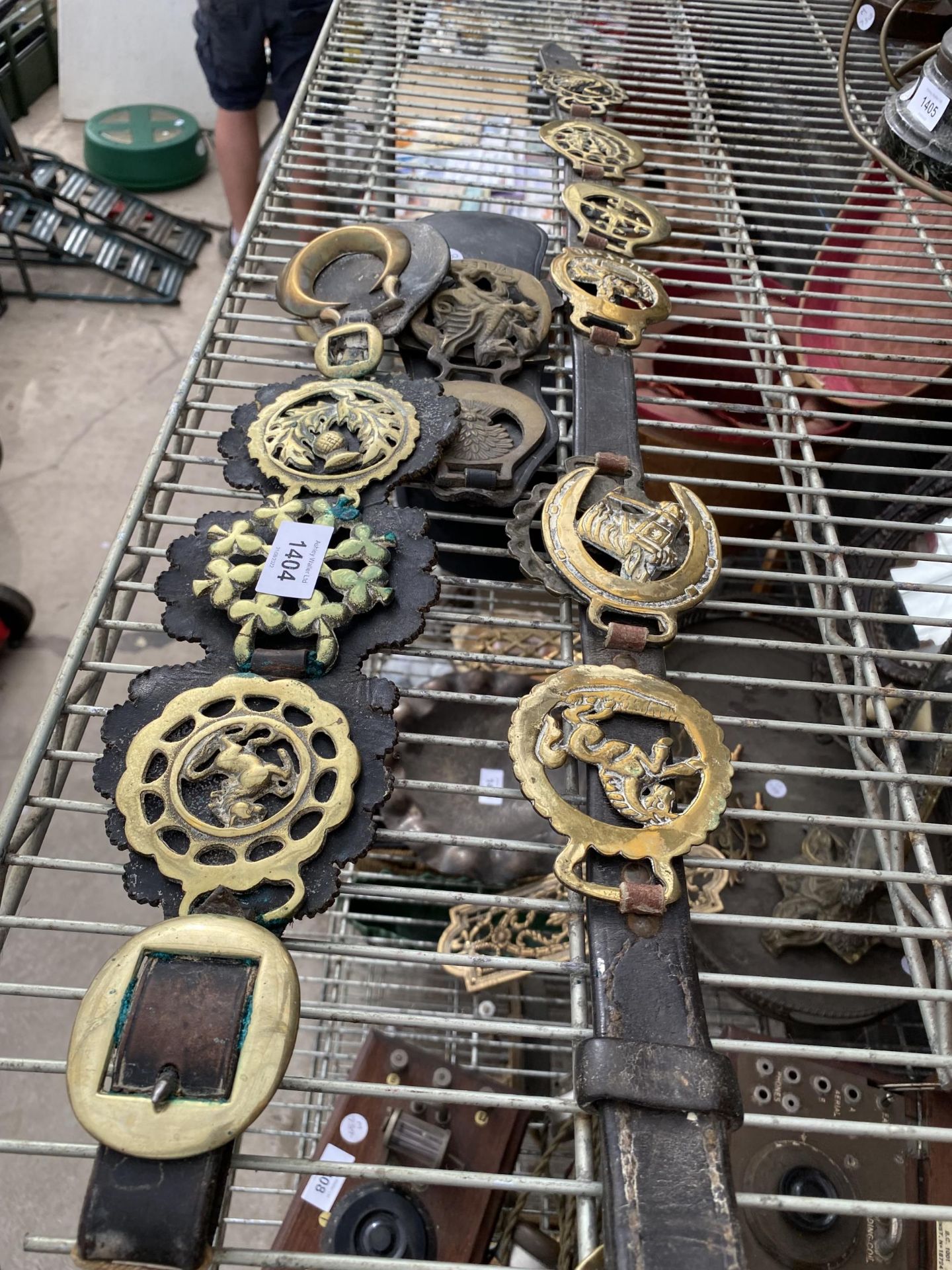 AN ASSORTMENT OF HORSE BRASSES ON MARTINGALES