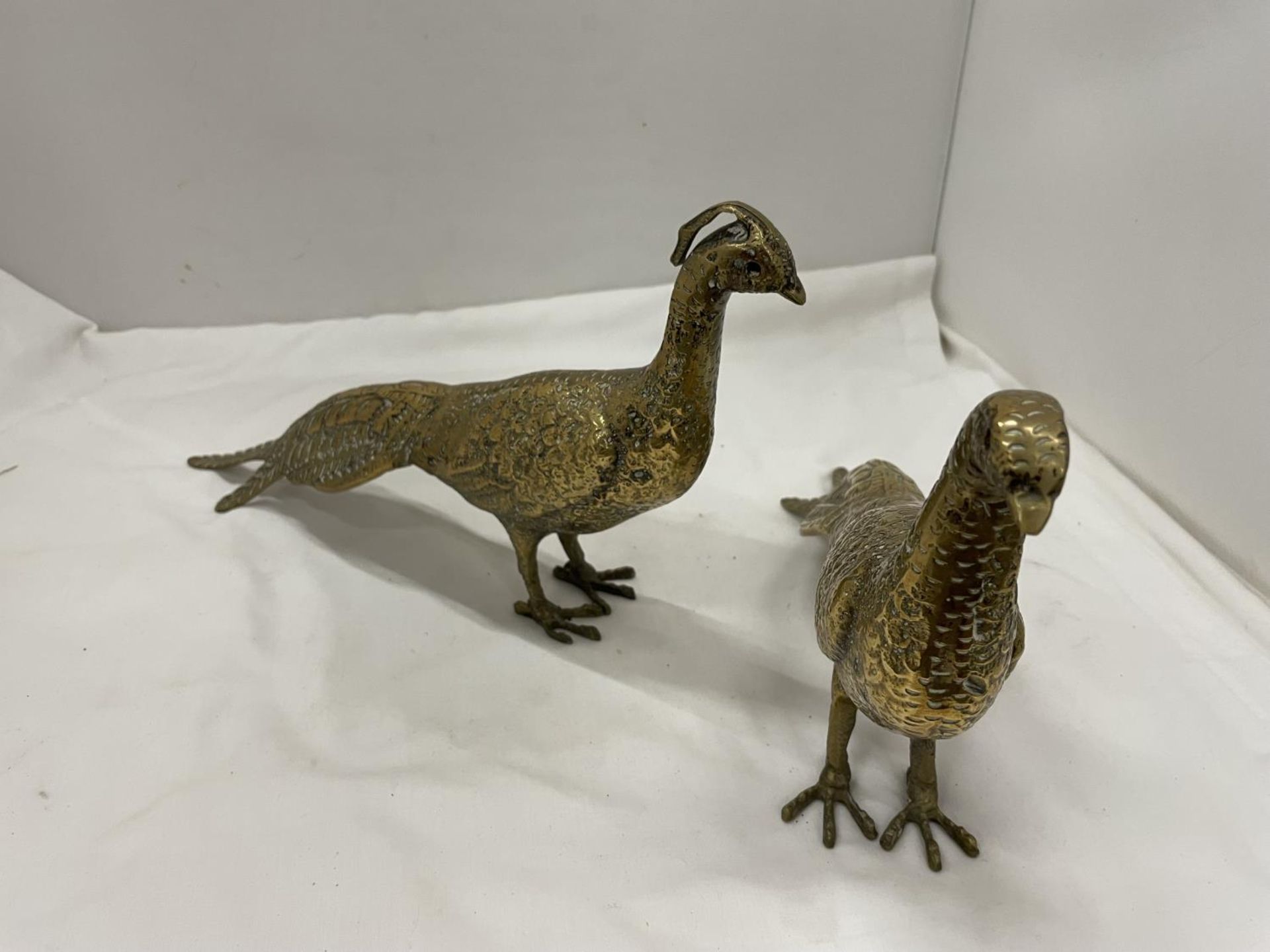 TWO HEAVY BRASS PHEASANT FIGURES - Image 2 of 3