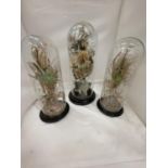 THREE GLASS DOME CLOCHES ON WOODEN BASES ONE WITH DRIED FLOWERS AND THE OTHER TWO WITH FLOWERS AND
