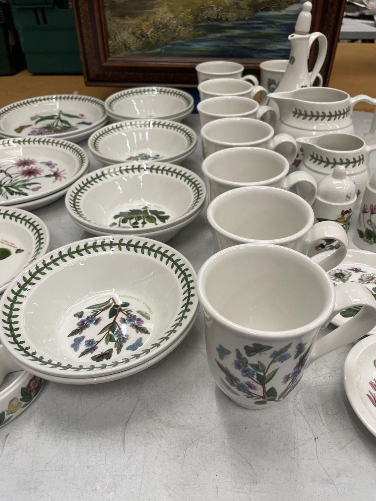 FIFTY FOUR PIECES OF PORTMERION TO INCLUDE BOTANIC GARDEN MUGS, PLATES, CRUETS, JUGS, NAPKIN RINGS - Image 3 of 7