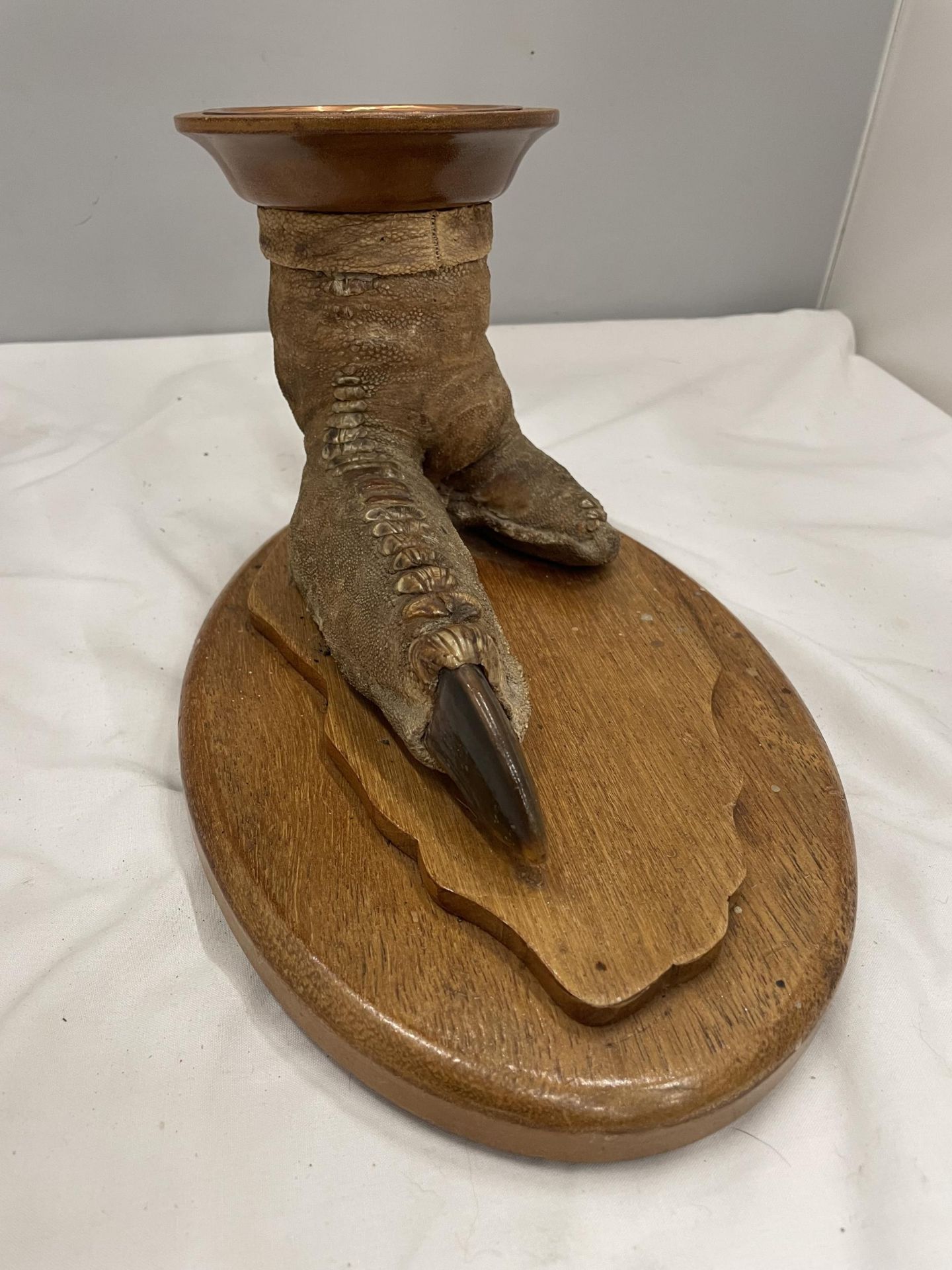 A TAXIDERMY OSTRICH FOOT ON AN OAK BASE MOUNTED WITH AN OAK PLINTH WITH BAIZE BASE AND A COPPER TRAY