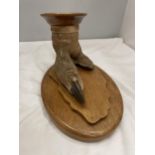 A TAXIDERMY OSTRICH FOOT ON AN OAK BASE MOUNTED WITH AN OAK PLINTH WITH BAIZE BASE AND A COPPER TRAY