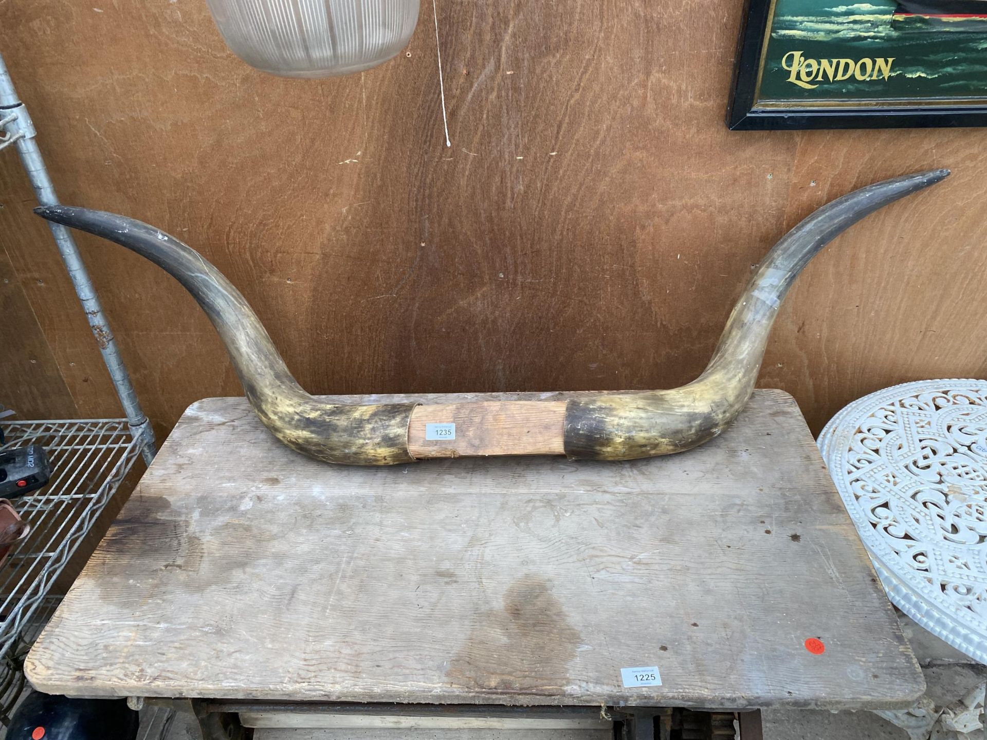 A LARGE PAIR OF DECORATIVE CATTLE HORNS