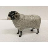 A JOHN BESWICK BLACK FACED EWE - 14CM WIDE X 12CM