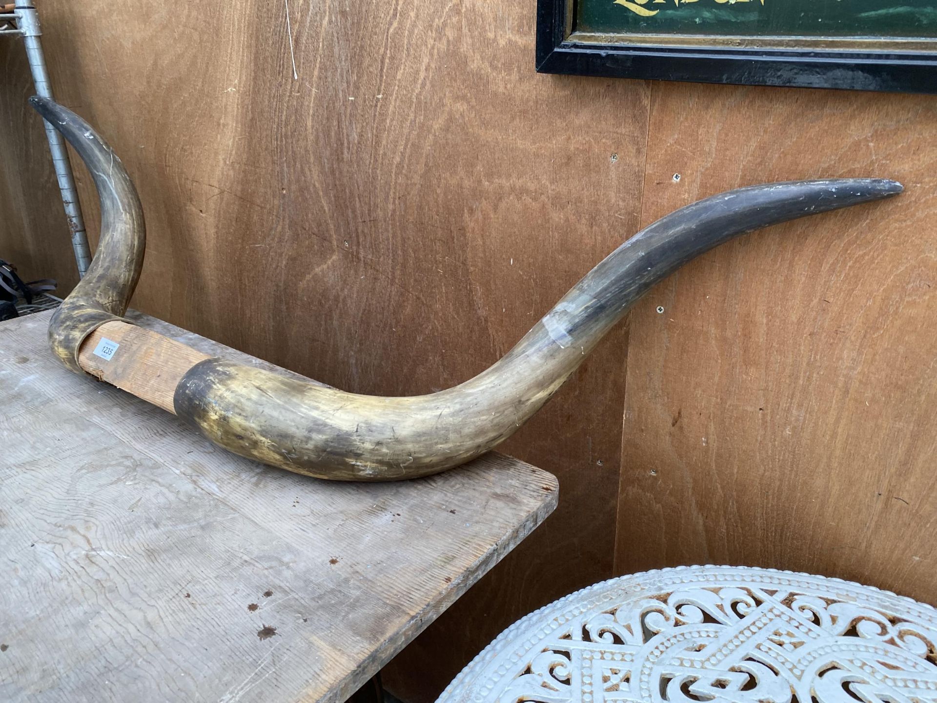 A LARGE PAIR OF DECORATIVE CATTLE HORNS - Image 2 of 5