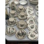 A QUANTITY OF LORD NELSON POTTERY 'INDIAN TREE' TO INCLUDE CUPS, SAUCERS, PLATES AND A COFFEE