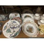 A COLLECTION OF PLATES TO INCLUDE ROYAL DOULTON 'THE JESTER', ORIENTAL STYLE, ETC