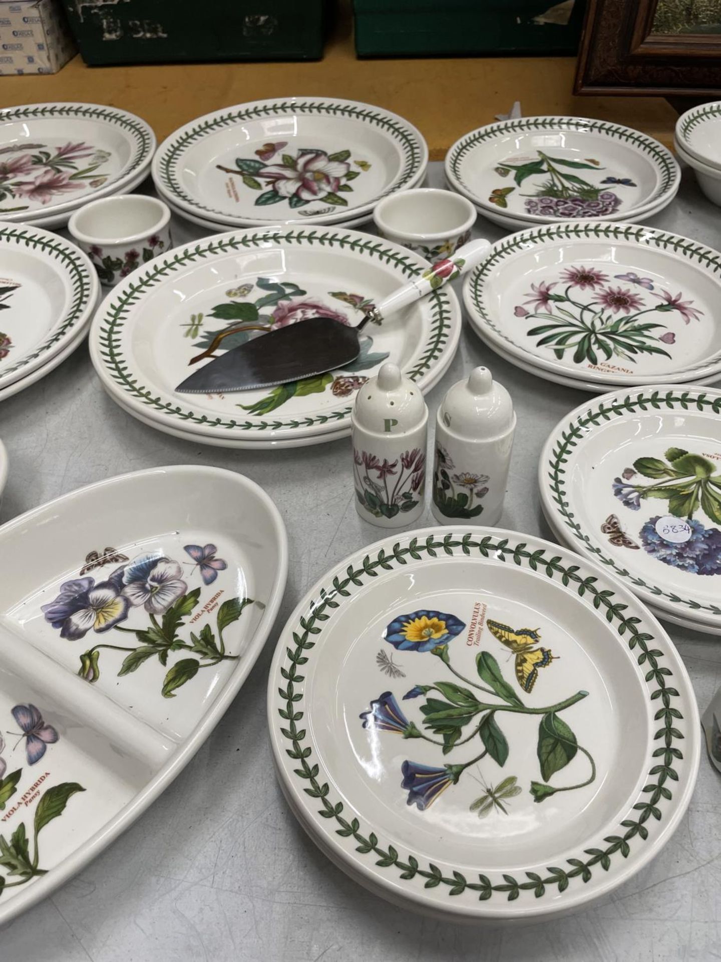FIFTY FOUR PIECES OF PORTMERION TO INCLUDE BOTANIC GARDEN MUGS, PLATES, CRUETS, JUGS, NAPKIN RINGS - Image 5 of 7