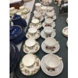 A QUANTITY OF CHINA CUPS AND SAUCERS TO INCLUDE CROWN STAFFORDSHIRE 'DENBIGH', ROYAL VICTORIA, ETC