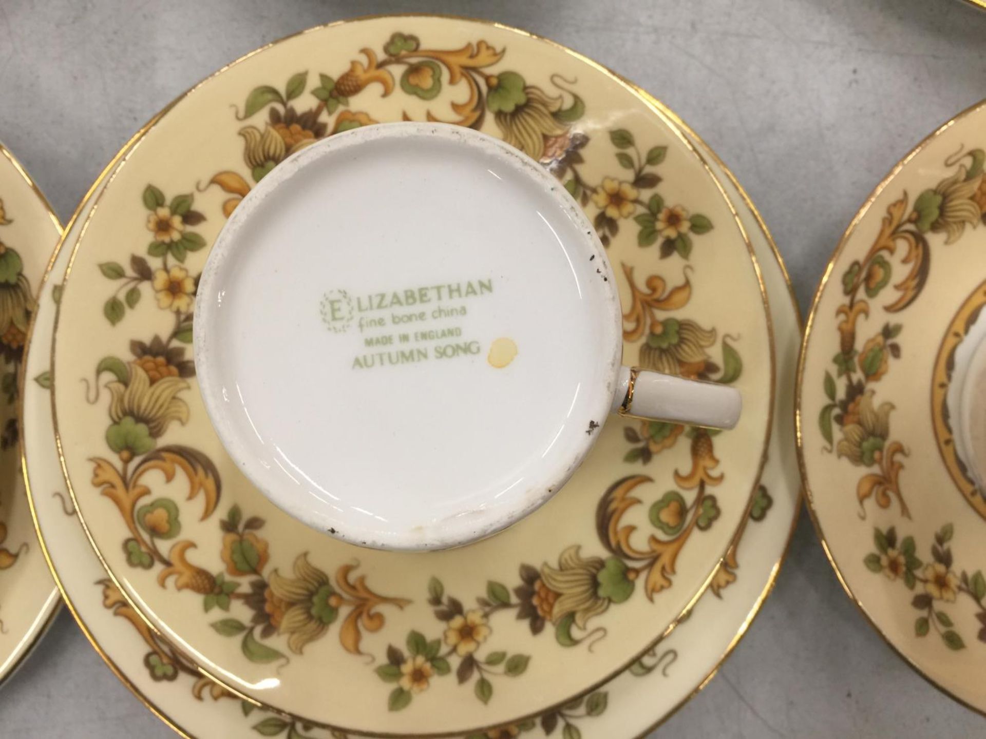 A QUANTITY OF ELIZABETHAN 'AUTUMN SONG' CUPS, SAUCERS AND SIDE PLATES - Image 7 of 7