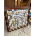 TWO FRAMED SETS OF WILL'S CIGARETTE CARDS OF FLOWERS