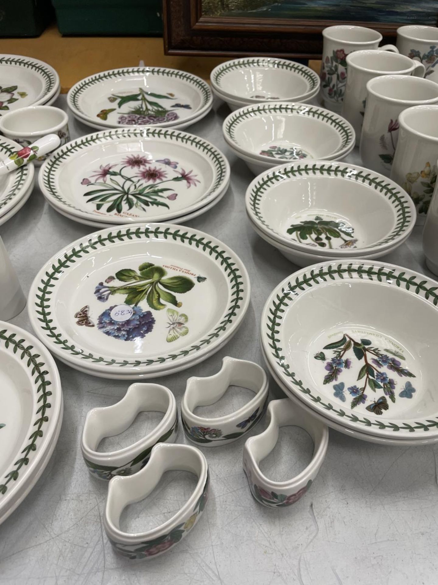 FIFTY FOUR PIECES OF PORTMERION TO INCLUDE BOTANIC GARDEN MUGS, PLATES, CRUETS, JUGS, NAPKIN RINGS - Image 4 of 7