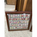 TWO FRAMED SETS OF WILL'S CIGARETTE CARDS OF FLOWERS