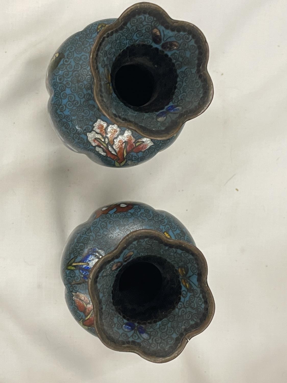A PAIR OF CLOISONNE VASES WITH FLOWER AND BUTTERFLY DECORATION MARKED A/C 75 HEIGHT 15.5CM - Image 4 of 5