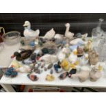 A LARGE COLLECTION OF WOODEN AND CERAMIC DUCK FIGURES
