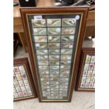A FRAMED SET OF WILL'S CIGARETTE CARDS OF FISH