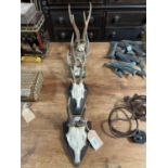 APPROX 4 SETS OF SMALL ANTLERS
