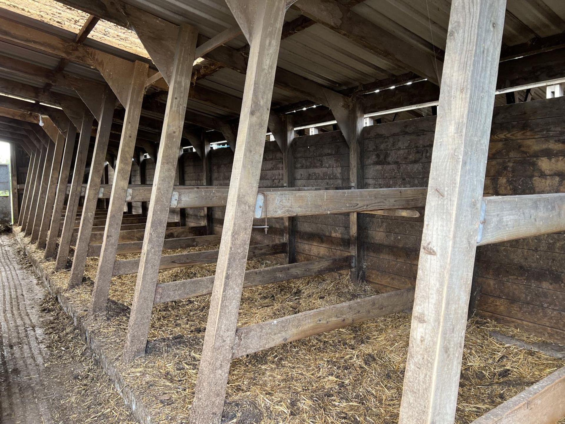 FARMPLUS 26 STALL COW KENNEL -3 WEEKS TO REMOVE. (SHEETED DOOR LOT 208) + VAT - Image 2 of 3