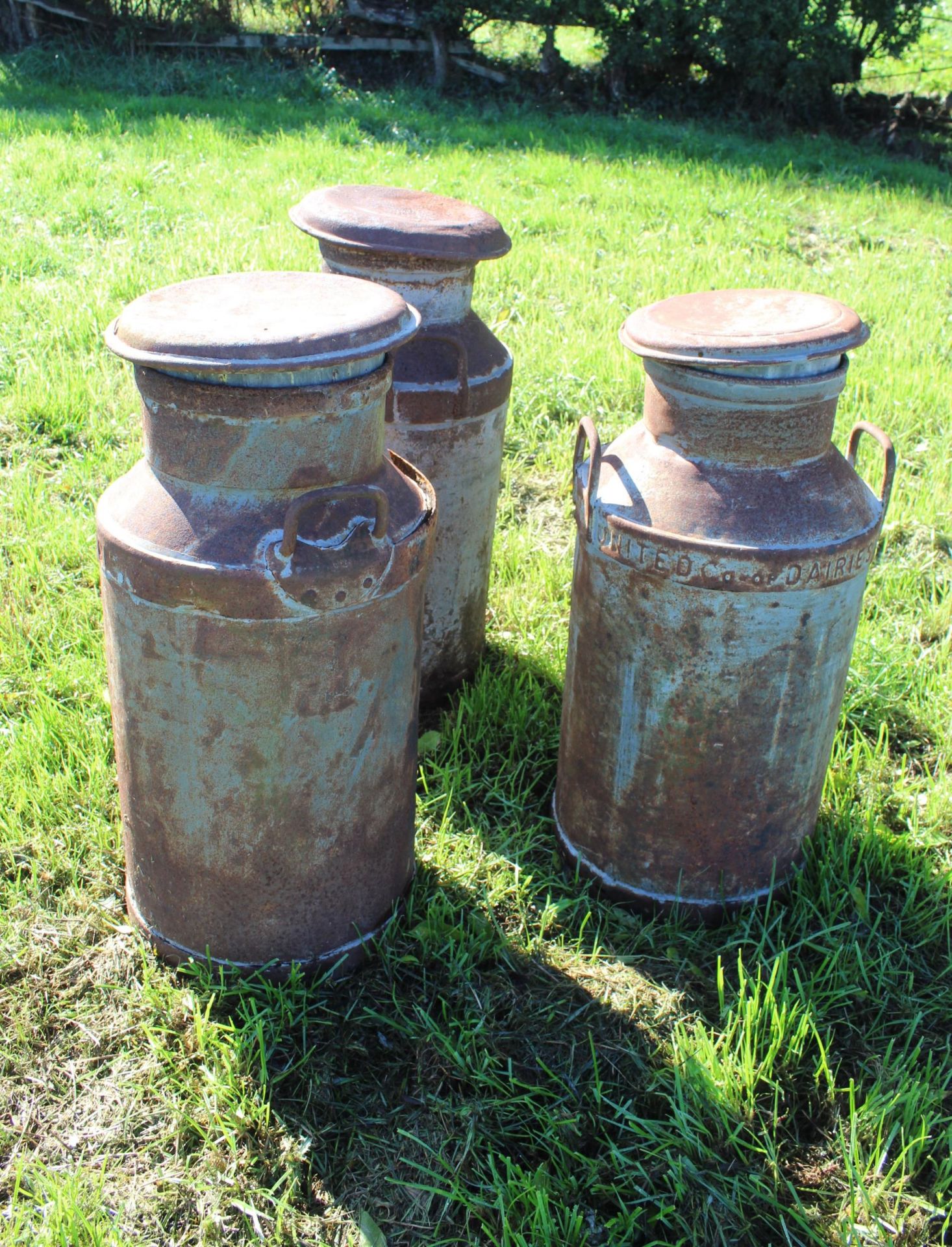 3 MILK CHURNS WITH LIDS -UNITED CO-OP DAIRIES ETC + VAT