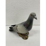 A BESWICK PIGEON NO 1383