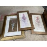 THREE FRAMED FLORAL PRINTS