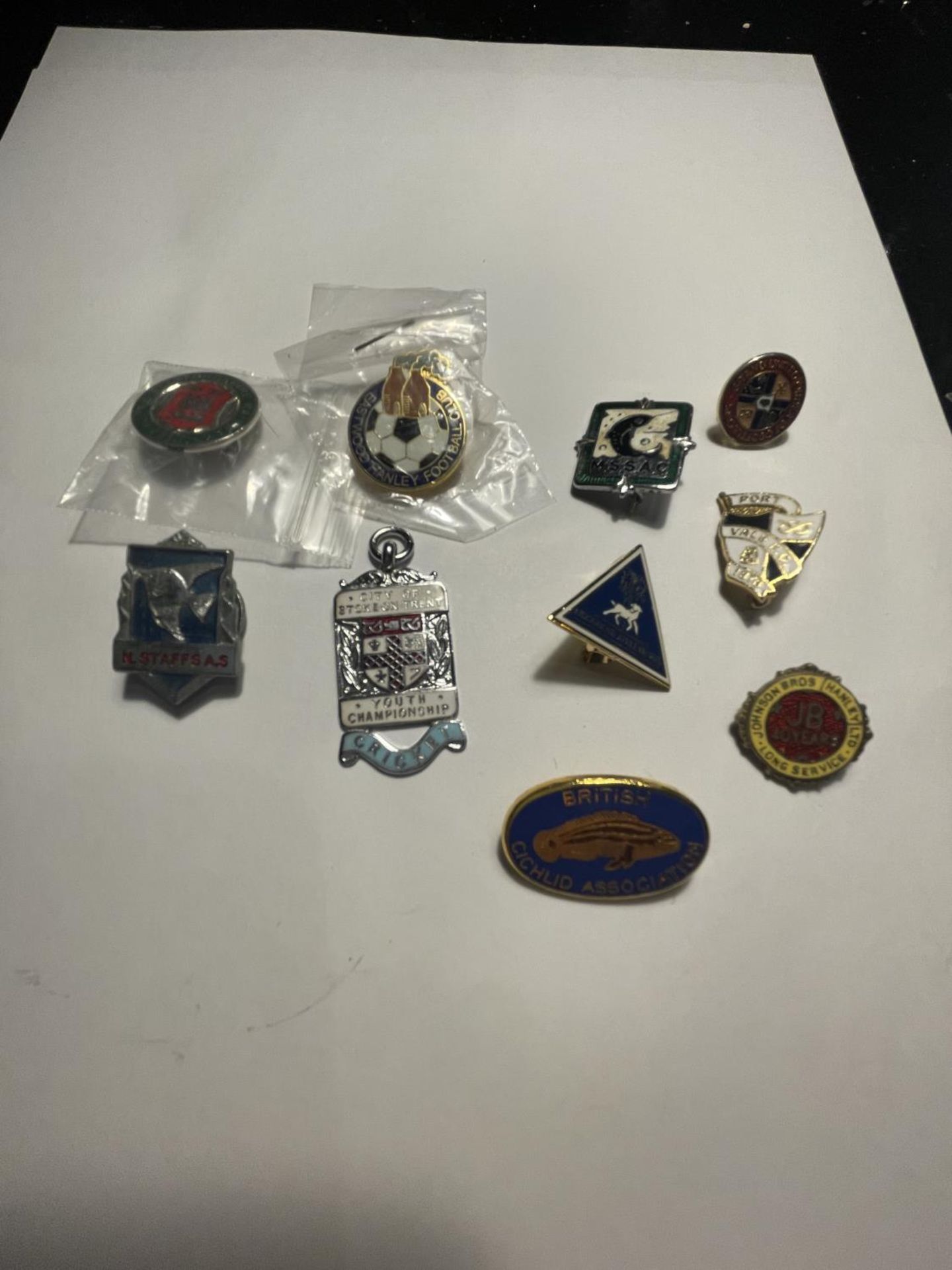 TEN STAFFOEDSHIRE RELATED BADGES