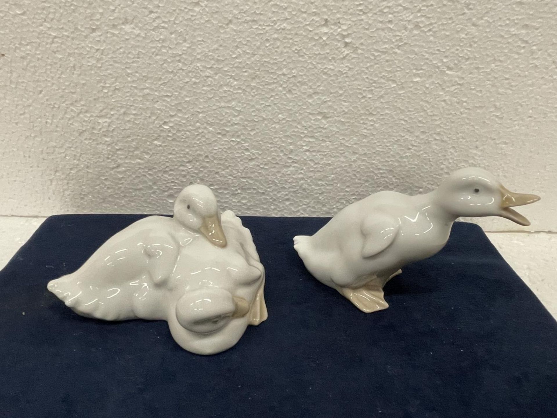 TWO NA0 DUCK ORNAMENTS