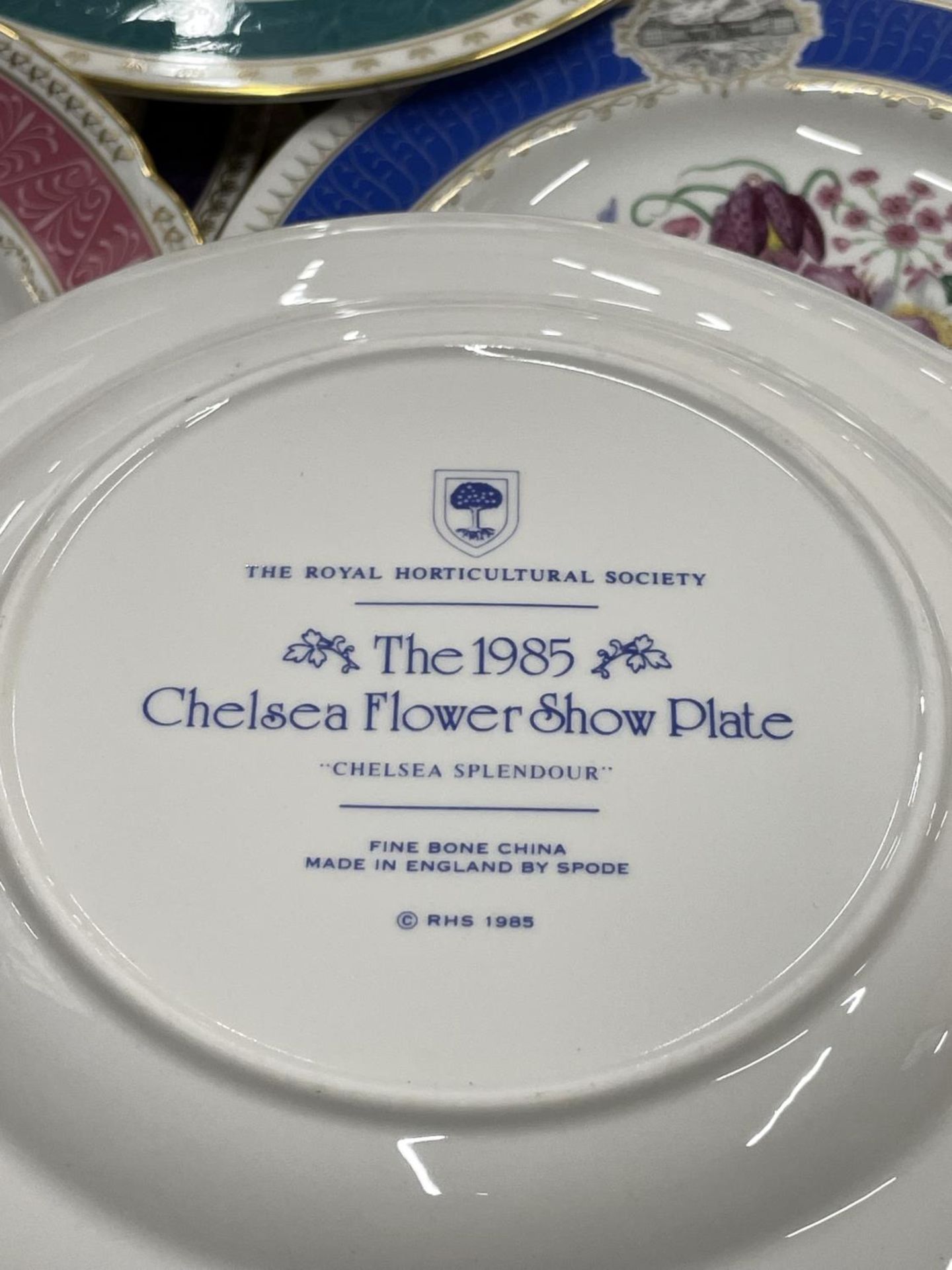 A SET OF SPODE ROYAL HORTICULTURE SOCIETY FLOWER SHOW CABINET/WALL PLATES - 15 IN TOTAL - Image 4 of 4