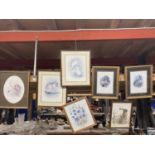 A QUANTITY OF FRAMED ANIMAL PRINTS TO INCLUDE RABBITS, MICE, A FOX, ETC