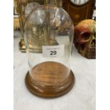 A VINTAGE GLASS CLOCHE / DOME ON OAK WOODEN BASE