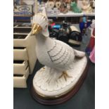 A LARGE POSSIBLY SPODE CERAMIC PHEASANT ON A WOODEN PLINTH LENGTH 32CM