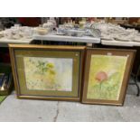 TWO FRAMED WATERCOLOURS OF FLOWERS, ONE INDISTINCTLY SIGNED