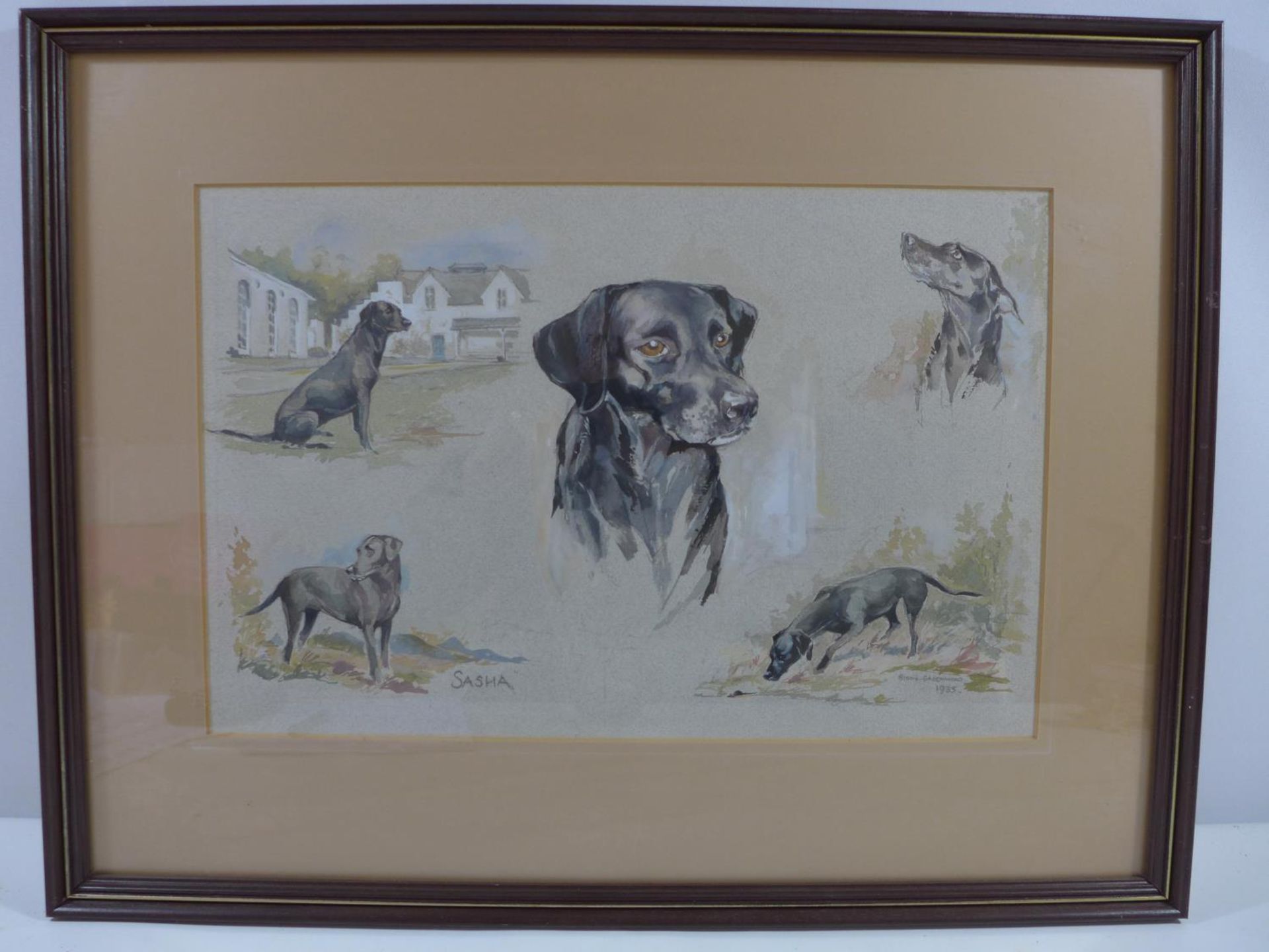 BIDDY GREENWOOD (BRITISH, 20TH CENTURY) 'SASHA' VIGNETTE OF A BLACK LABRADOR IN COUNTRYSIDE SETTING,