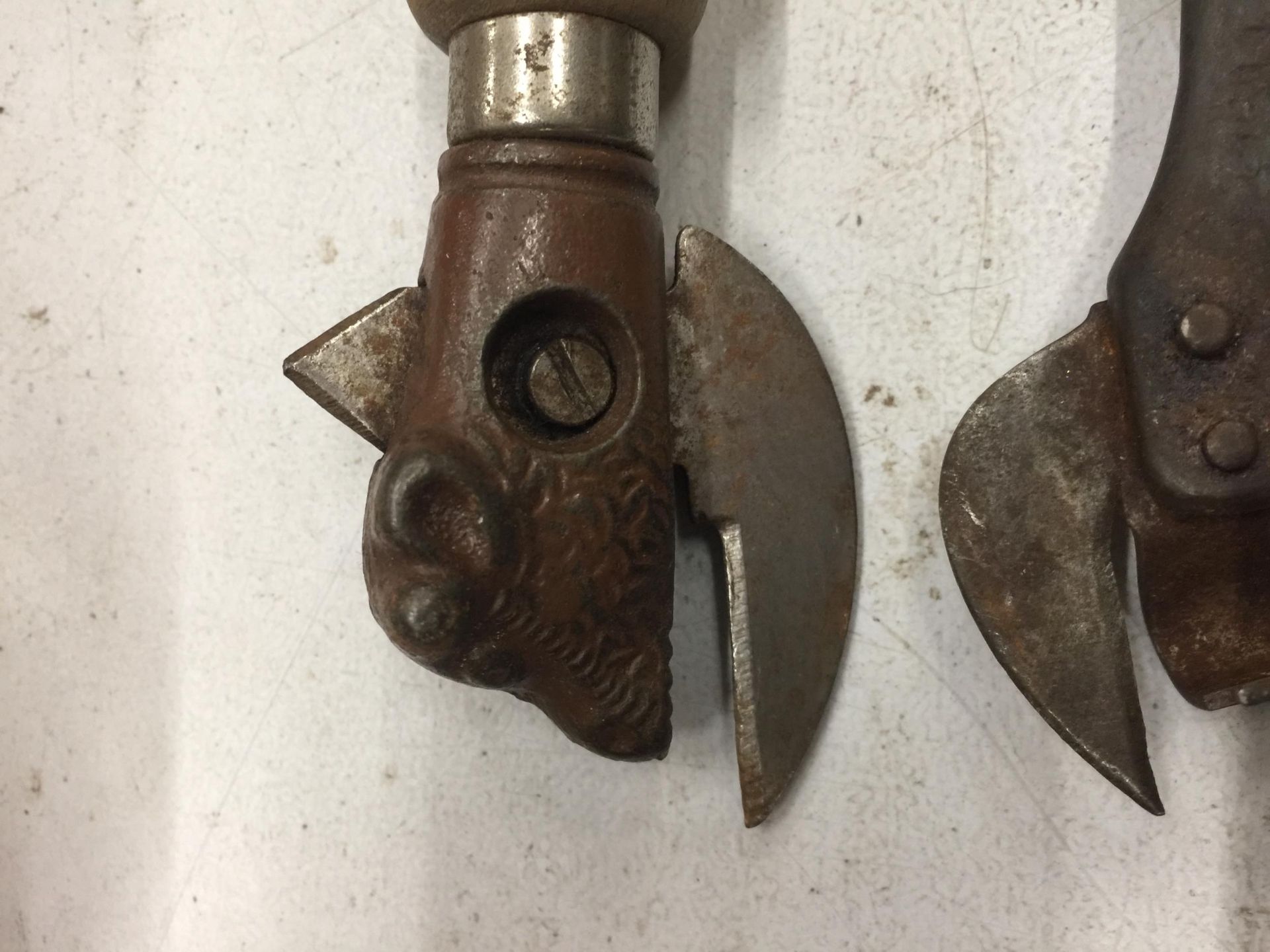 THREE VINTAGE CAN OPENERS TO INCLUDE TWO WITH BULLS HEADS - Image 3 of 3