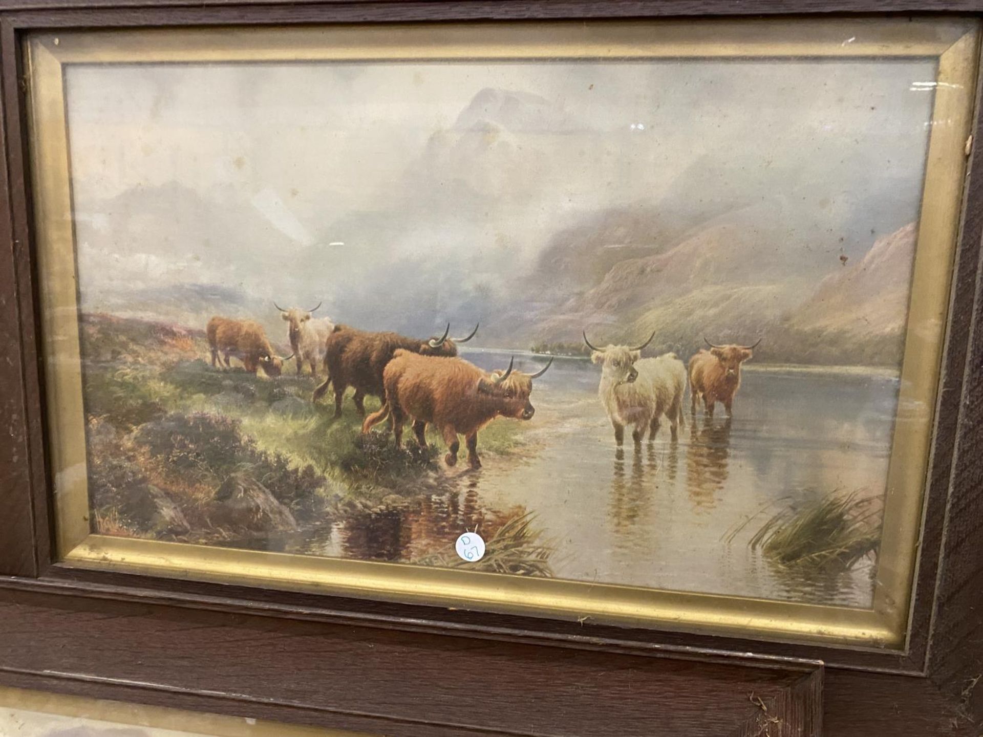 TWO PRINTS IN WOODEN FRAMES DEPICTING HIGHLAND CATTLE AND MOUNTAIN SCENE GLASS CRACKED TO ONE OF - Image 2 of 2