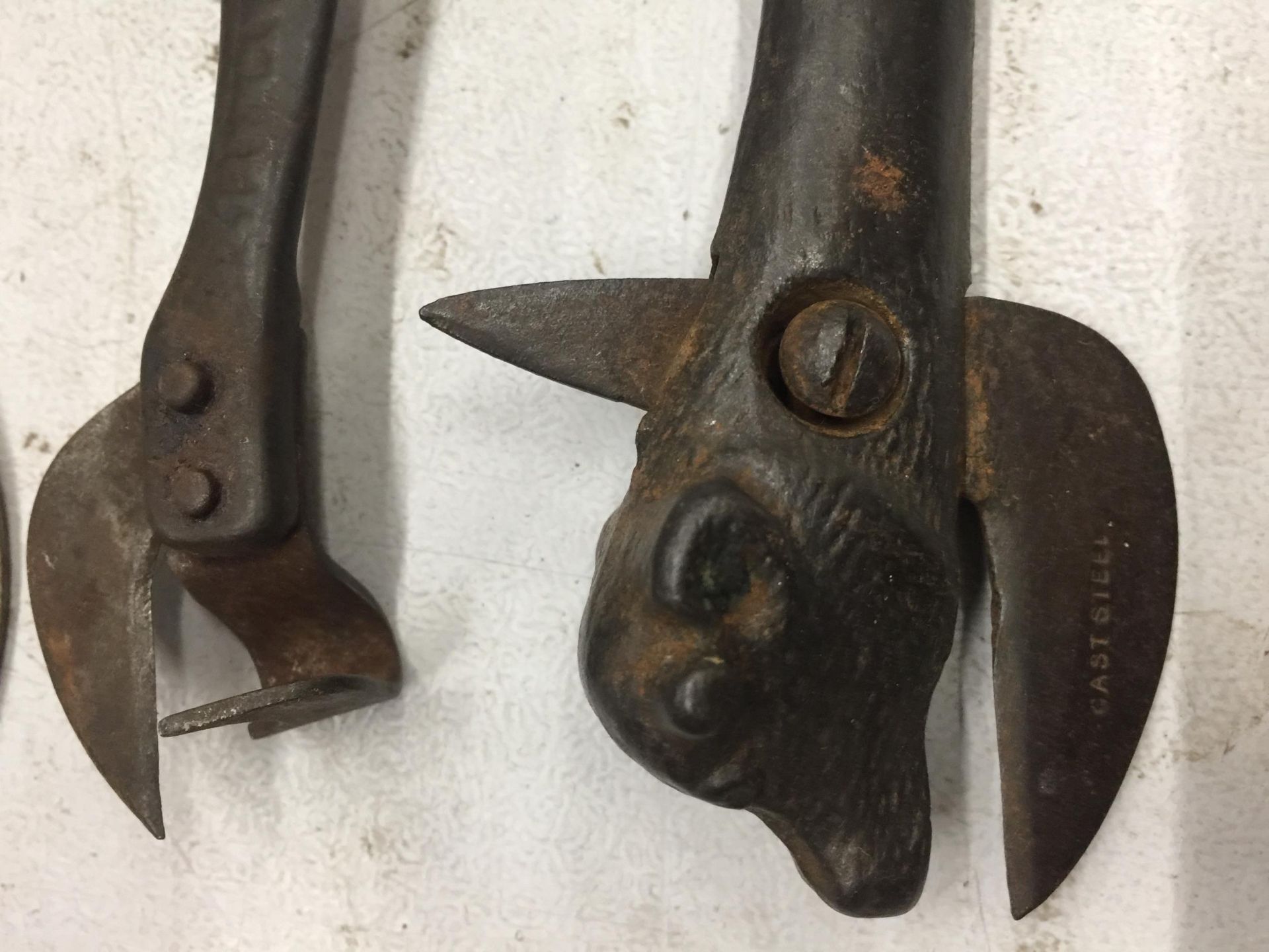 THREE VINTAGE CAN OPENERS TO INCLUDE TWO WITH BULLS HEADS - Image 2 of 3
