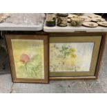 TWO FRAMED WATERCOLOURS OF FLOWERS, ONE INDISTINCTLY SIGNED