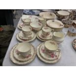 A QUANTITY OF SALISBURY CHINA TEAWARE WITH A ROSE PATTERN TO INCLUDE CUPS, SAUCERS, SIDE PLATES,